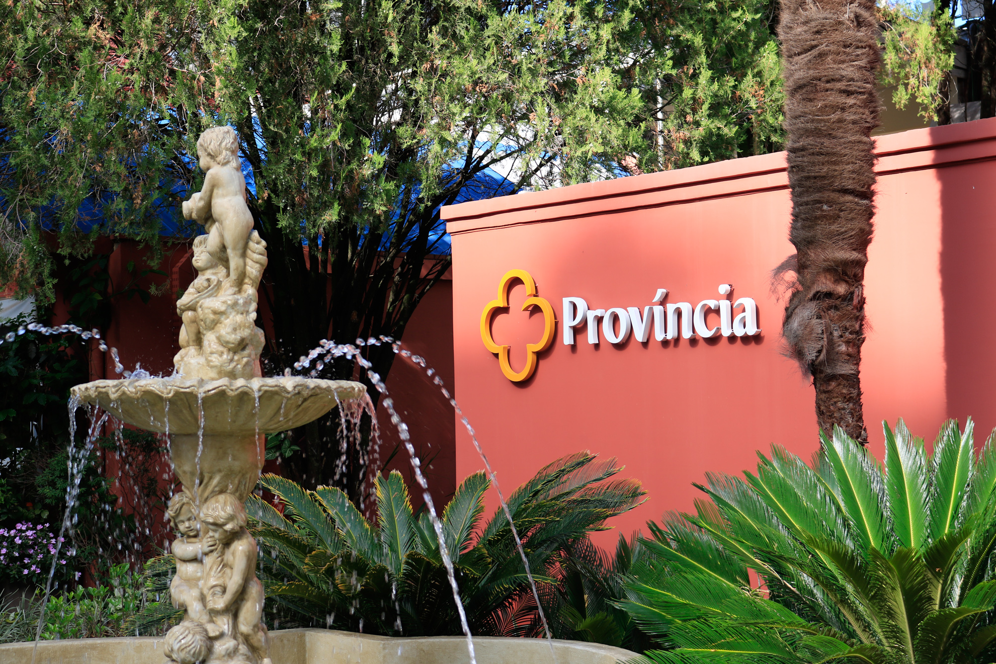 Efenge_ColegioProvincia_2026-3